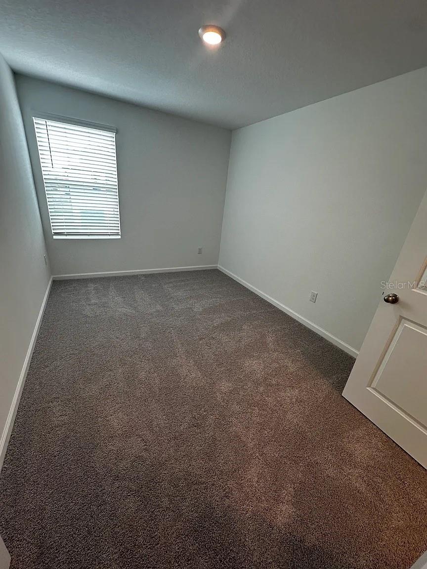 6167 Pina Colada, Zephyrhills, FL 33542