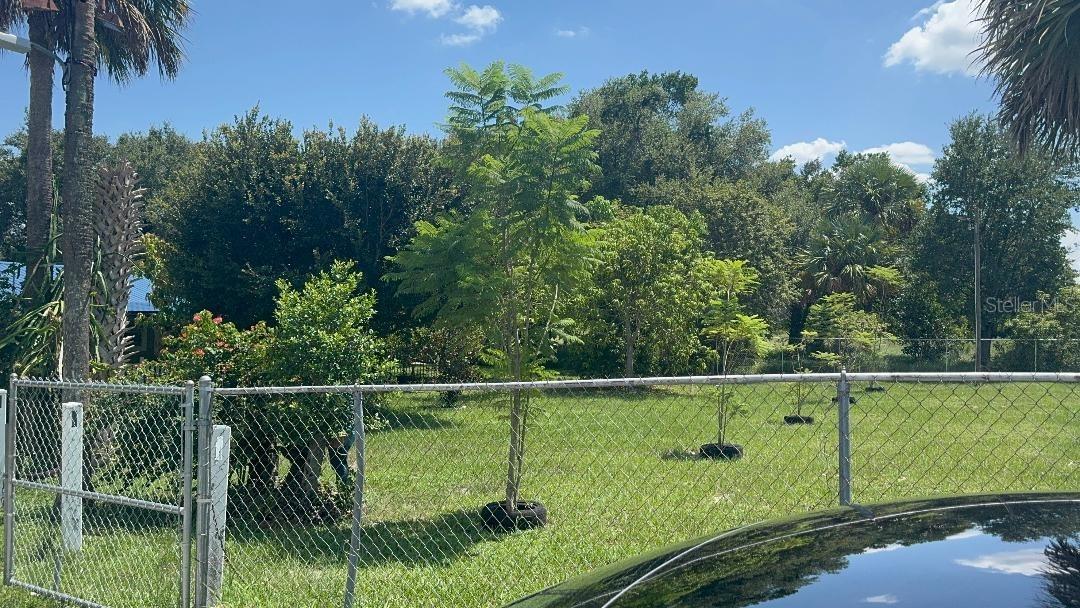 812 Us Highway 17 92, Davenport, FL 33837