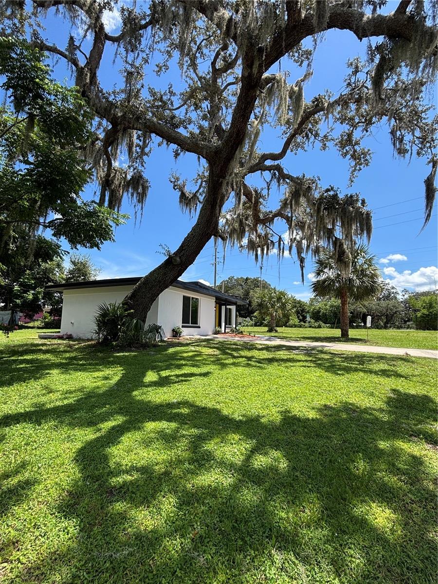 1041 Rosella, Titusville, FL 32780