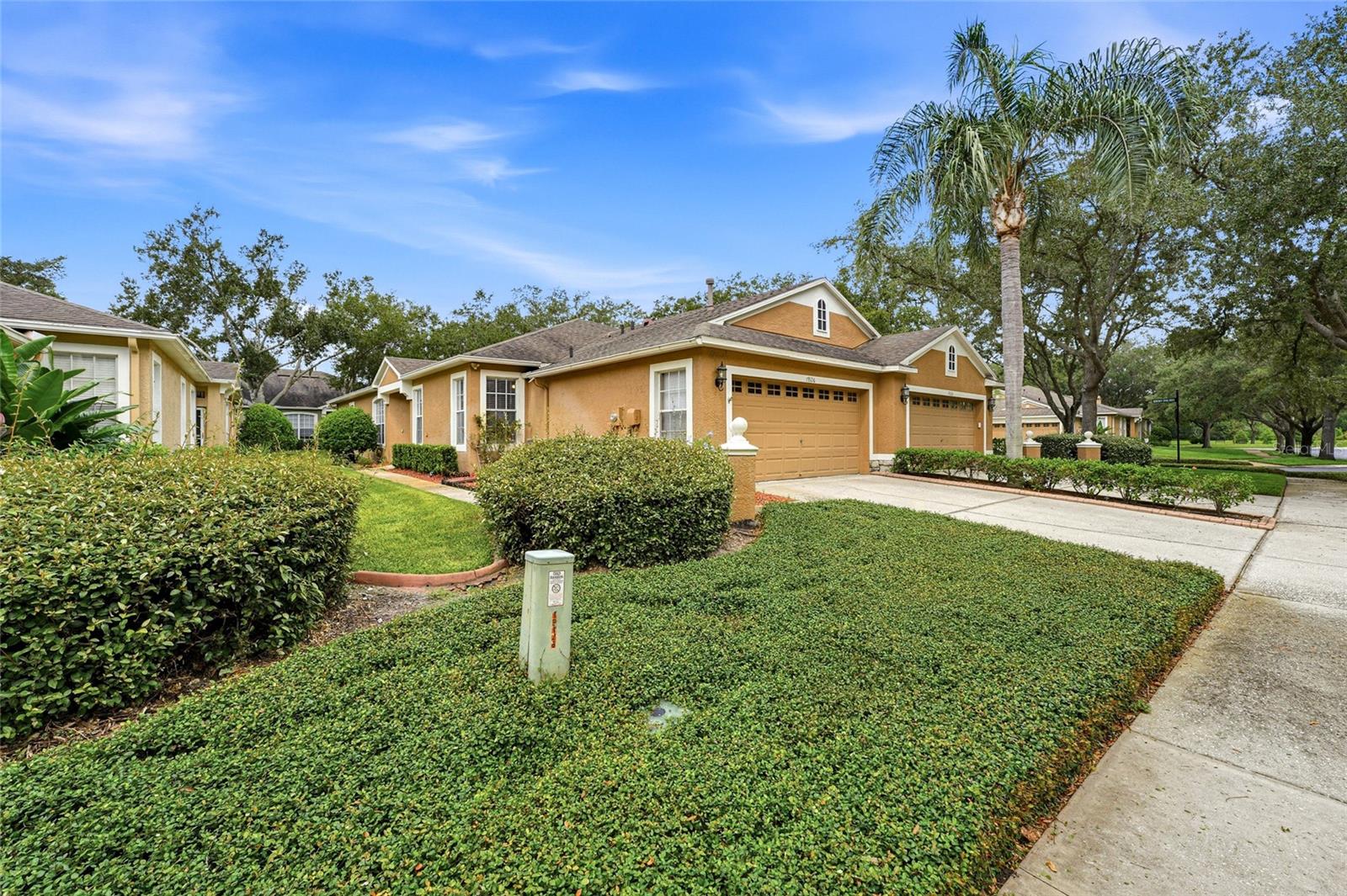 19126 White Wing, Tampa, FL 33647