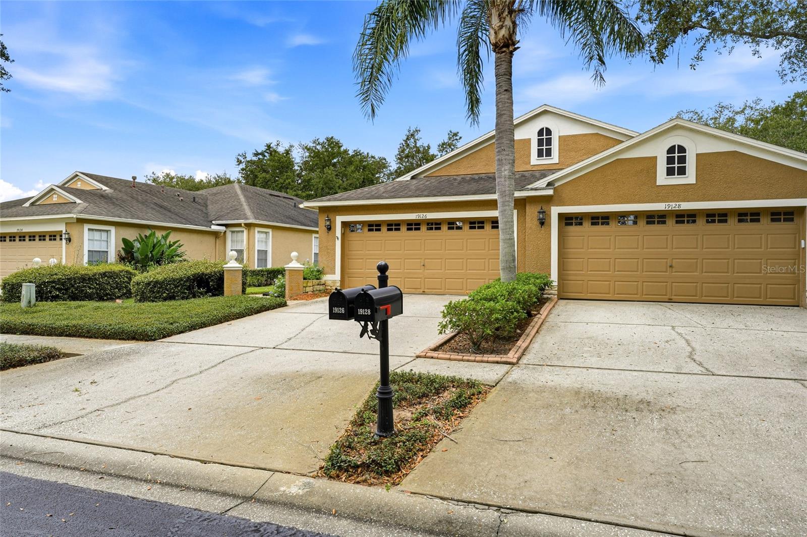 19126 White Wing, Tampa, FL 33647