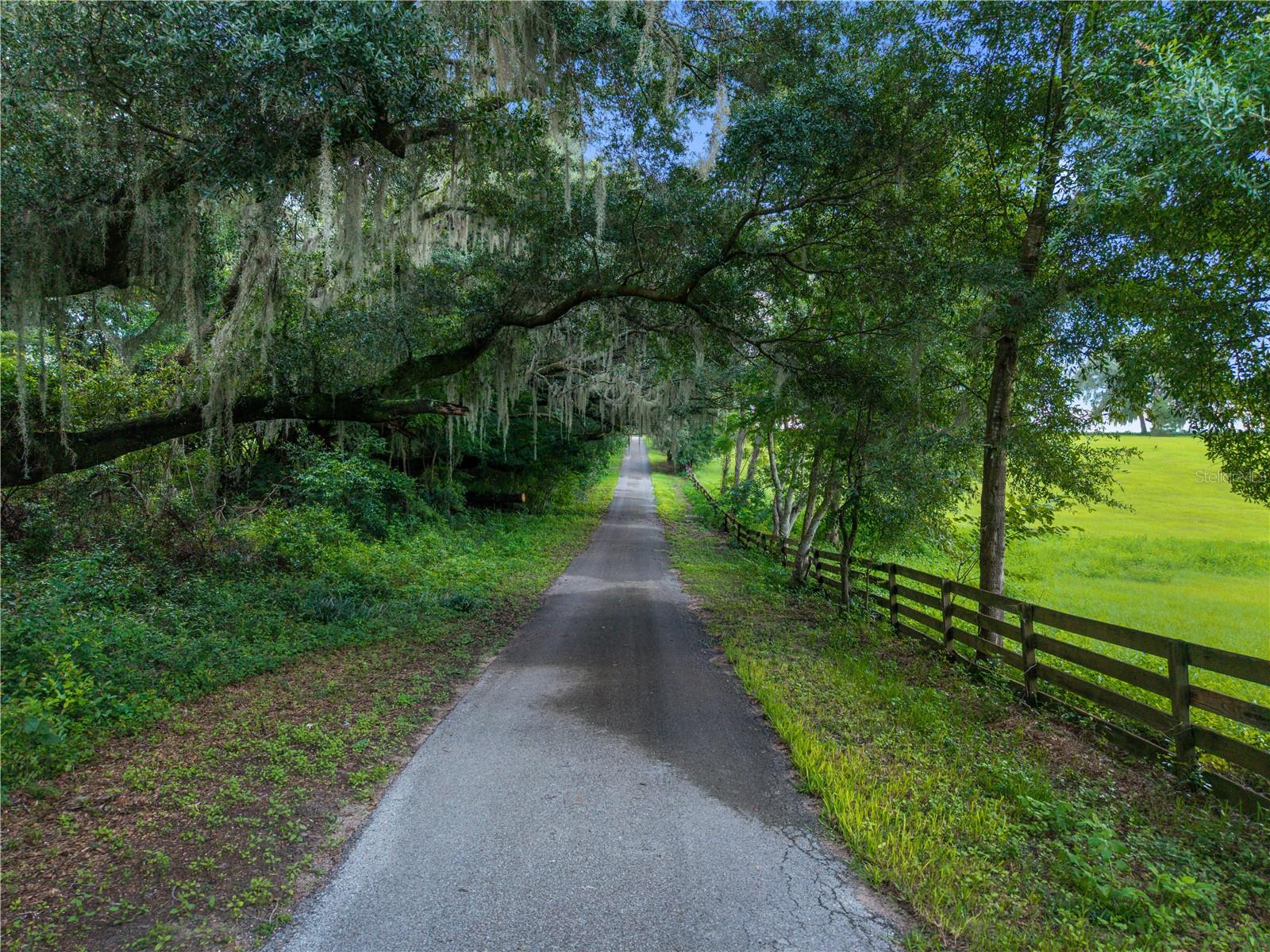 22118 Old Providence, Alachua, FL 32615
