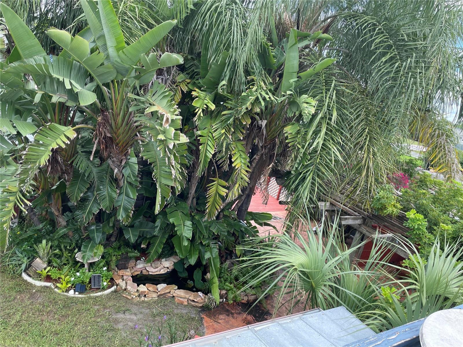 13734 Coco, Hudson, FL 34667