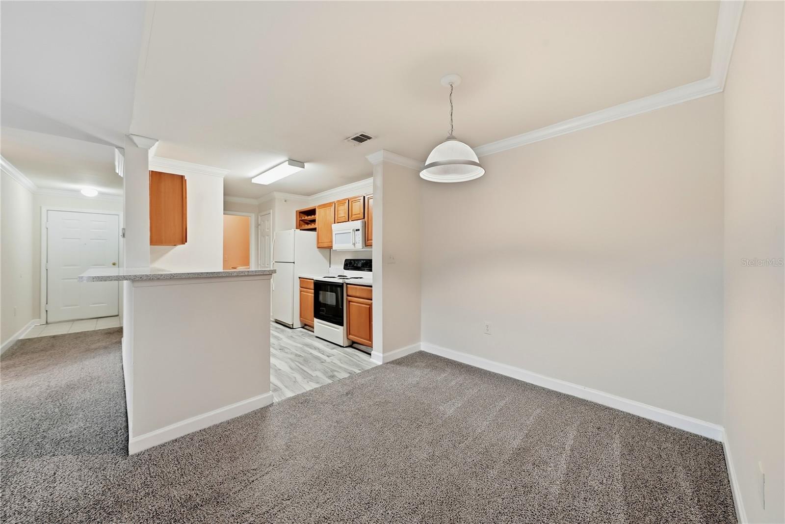 18471 Bridle Club, Tampa, FL 33647