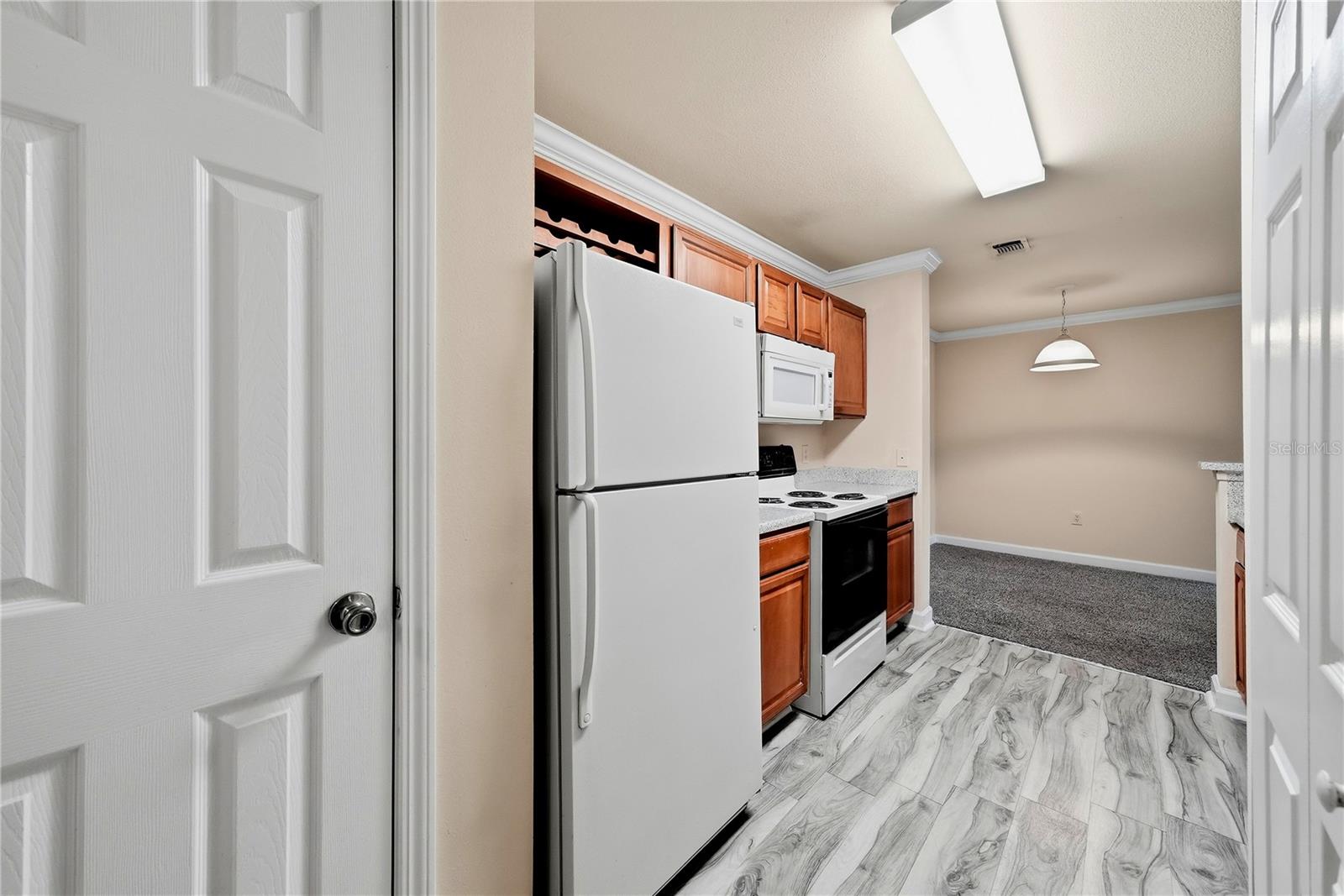18471 Bridle Club, Tampa, FL 33647