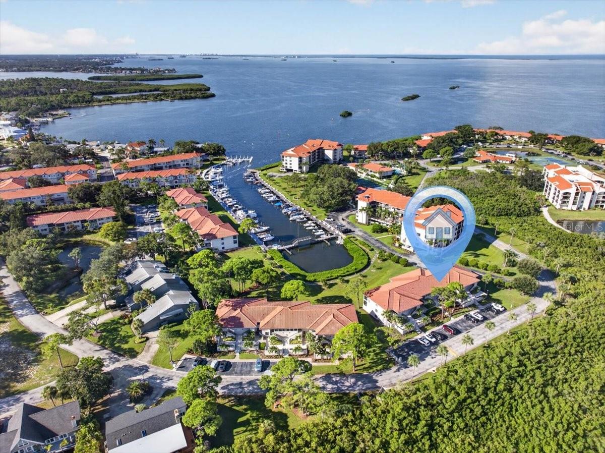 1805 Mariner Unit 51, Tarpon Springs, FL 34689