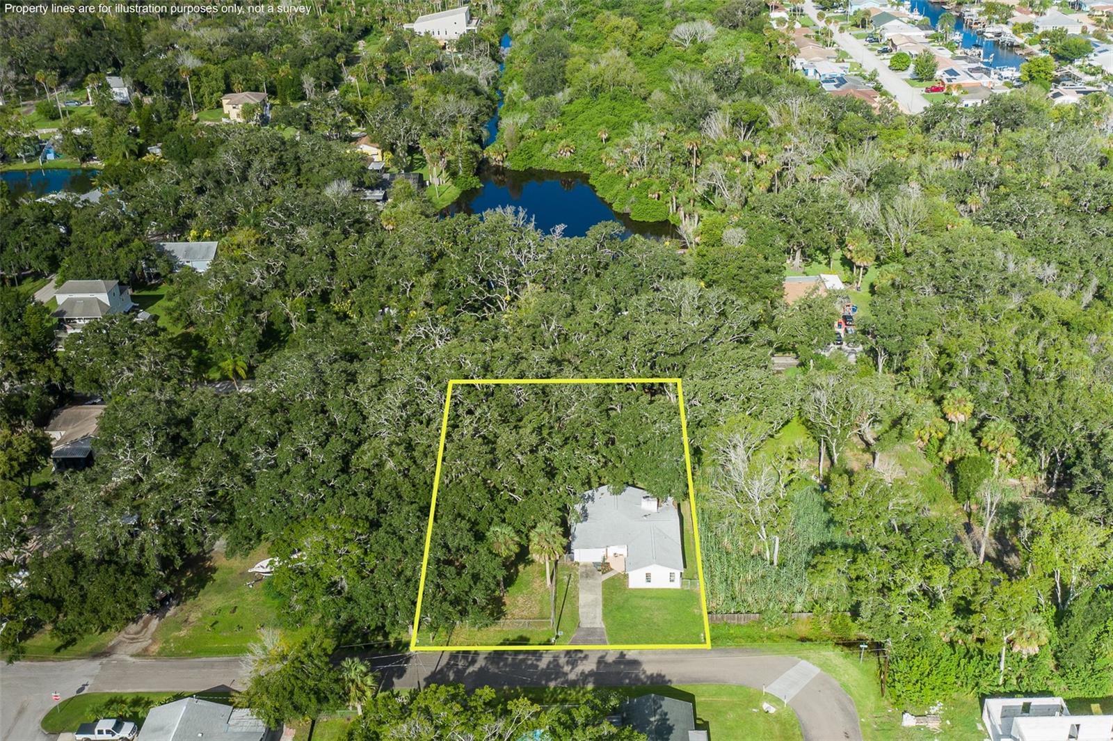 4715 Needle Palm, New Port Richey, FL 34652