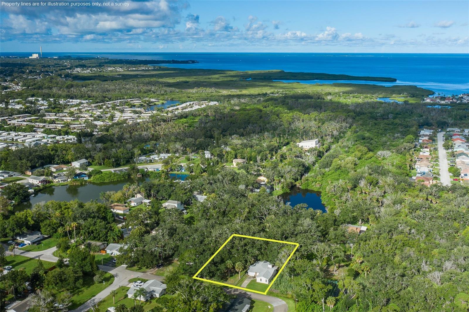 4715 Needle Palm, New Port Richey, FL 34652