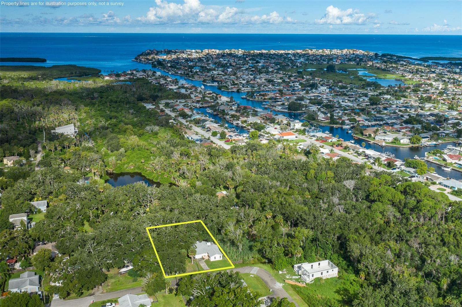 4715 Needle Palm, New Port Richey, FL 34652