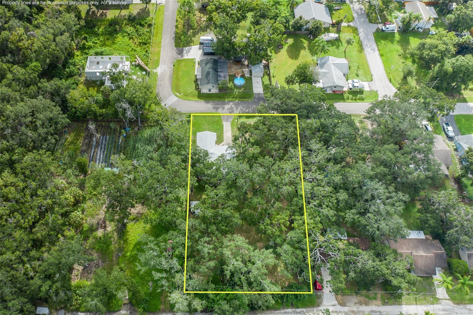 4715 Needle Palm, New Port Richey, FL 34652