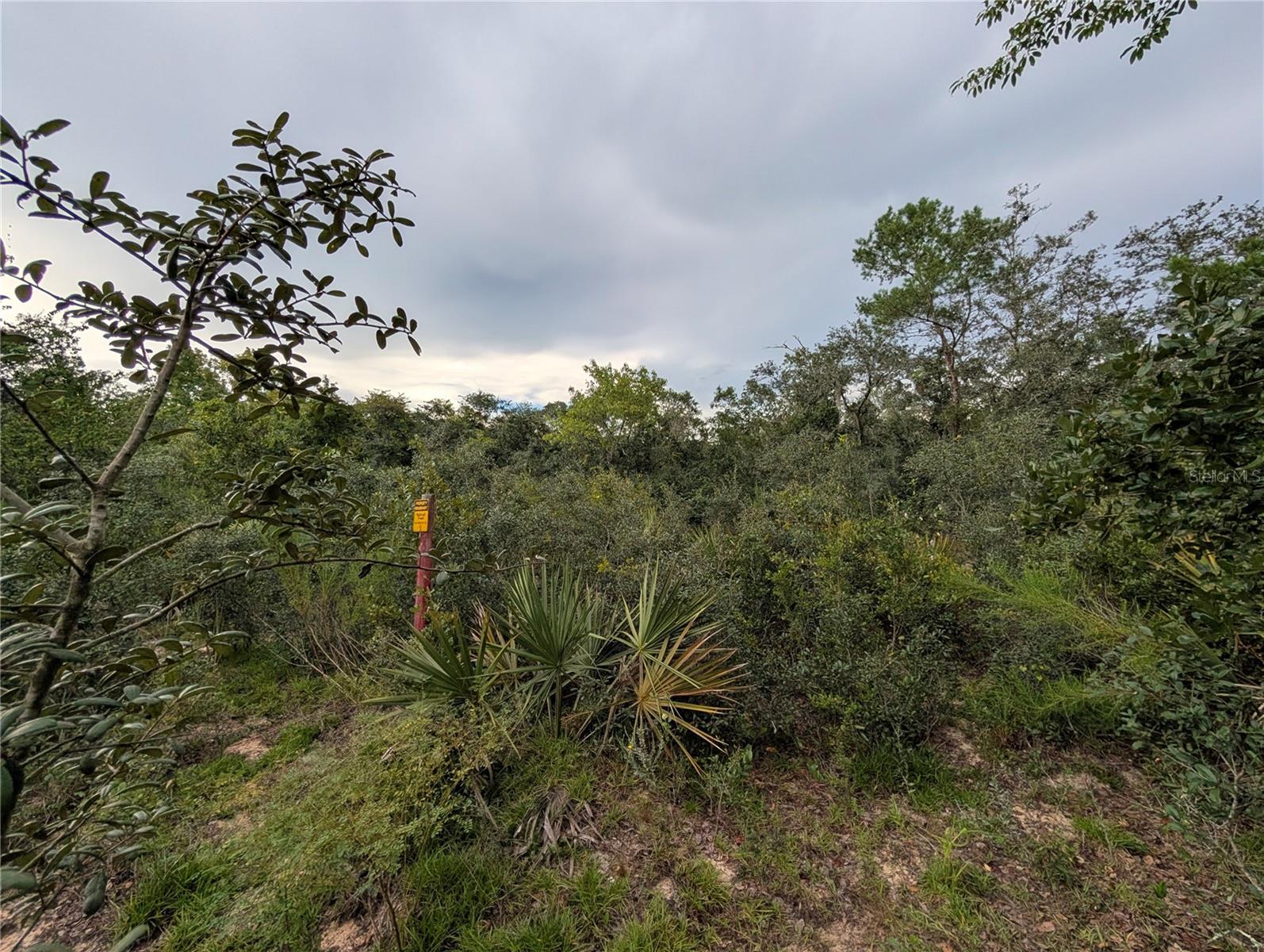 20683 140th, Umatilla, FL 32784