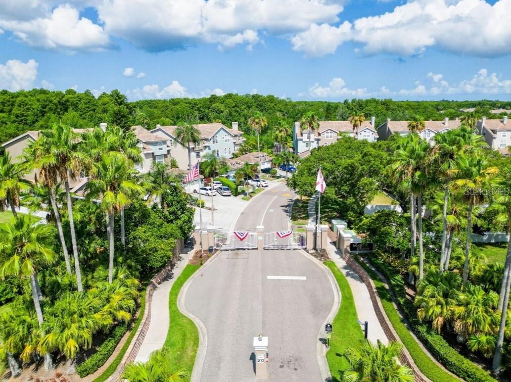 1764 Arabian, Palm Harbor, FL 34685
