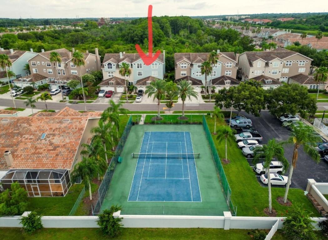 1764 Arabian, Palm Harbor, FL 34685