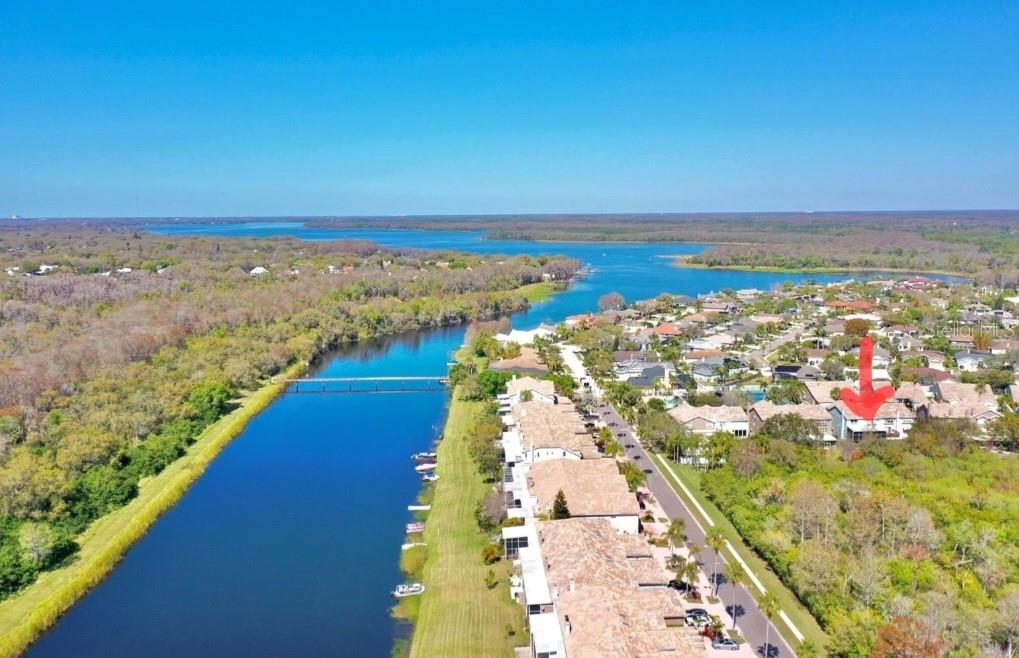 1764 Arabian, Palm Harbor, FL 34685