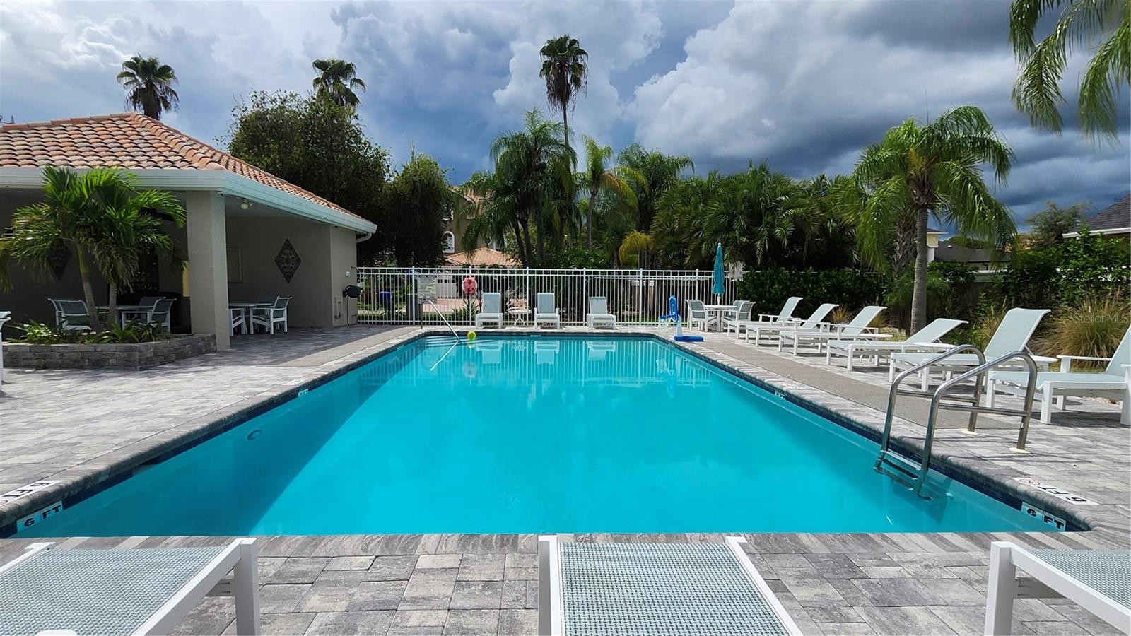 1764 Arabian, Palm Harbor, FL 34685
