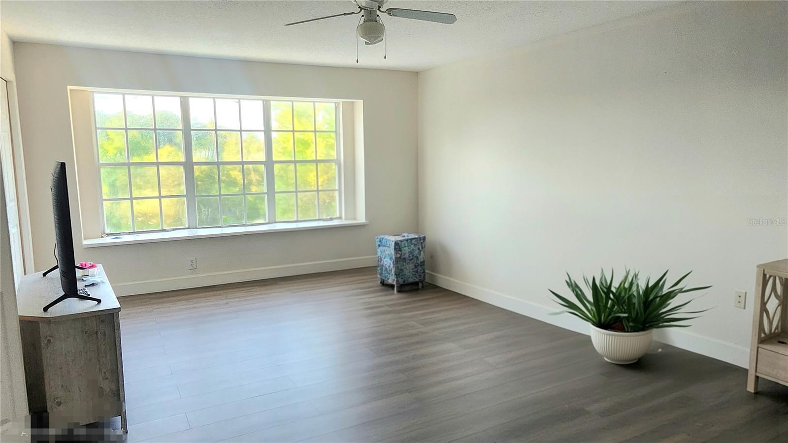 1764 Arabian, Palm Harbor, FL 34685