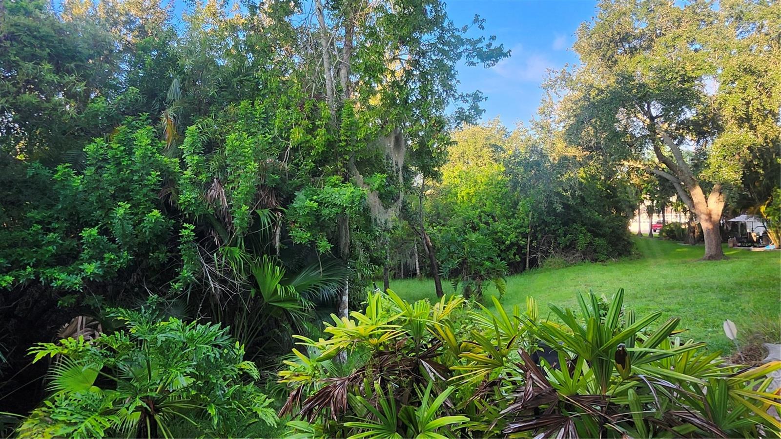 1764 Arabian, Palm Harbor, FL 34685