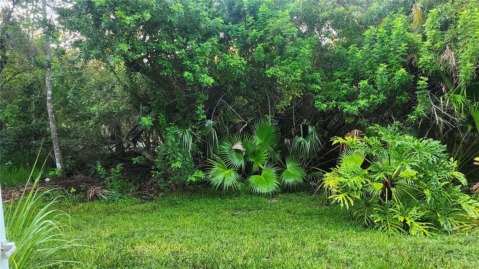 1764 Arabian, Palm Harbor, FL 34685