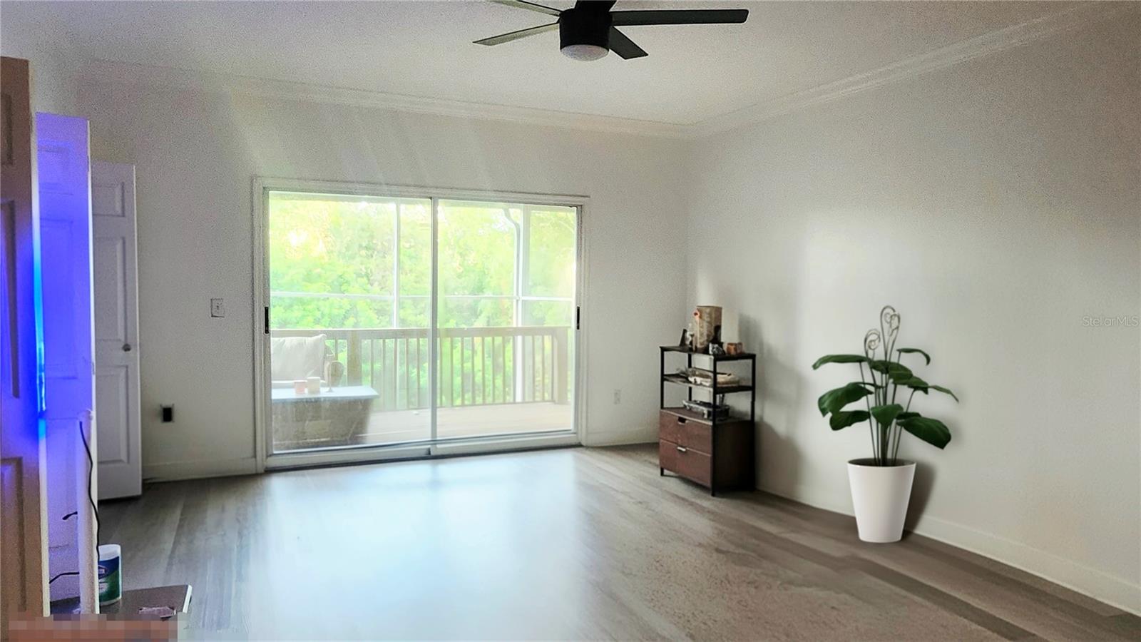 1764 Arabian, Palm Harbor, FL 34685