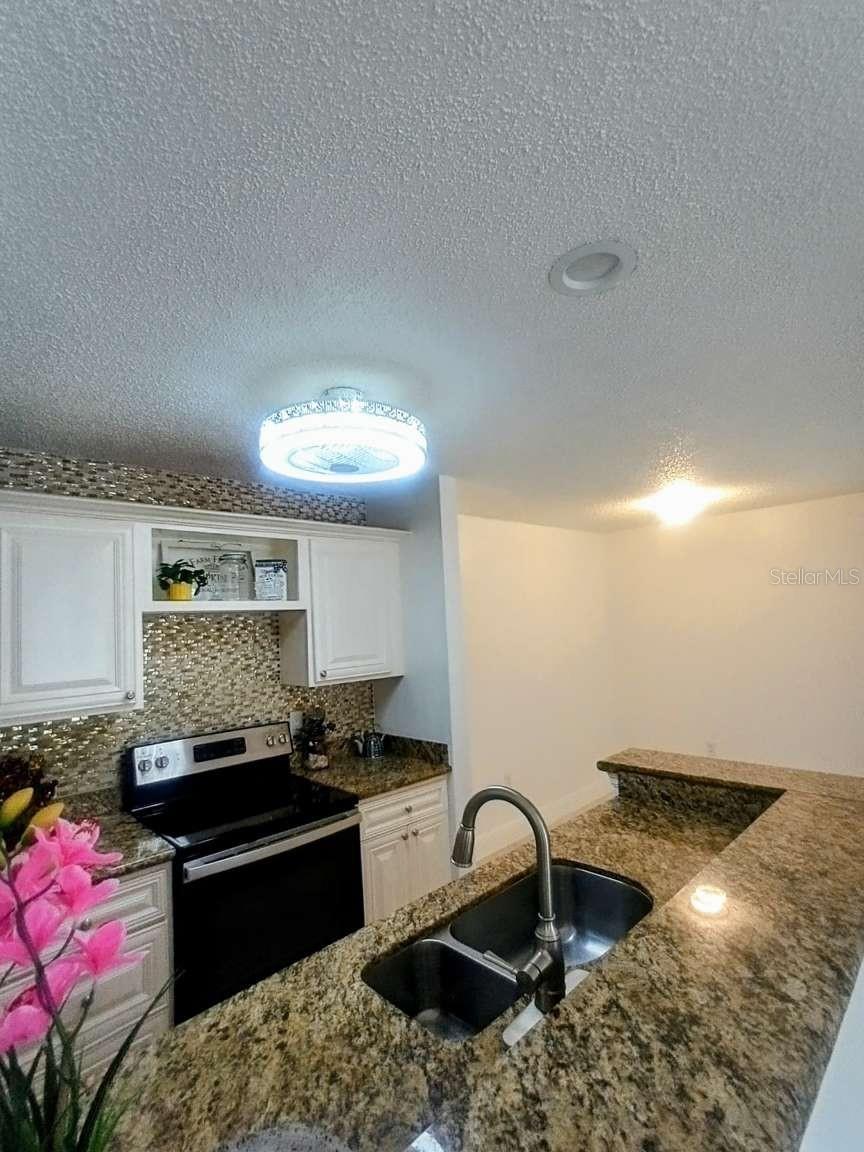 10024 Strafford Oak Unit 807, Tampa, FL 33624