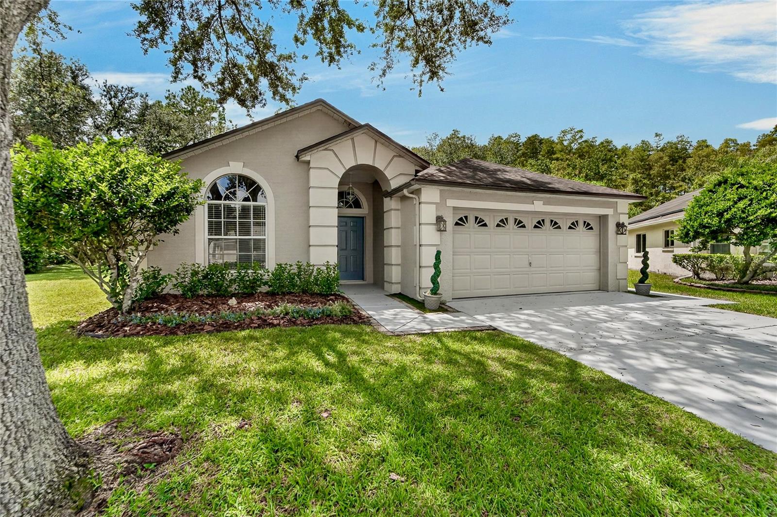 6106 Chalon, Lutz, FL 33558