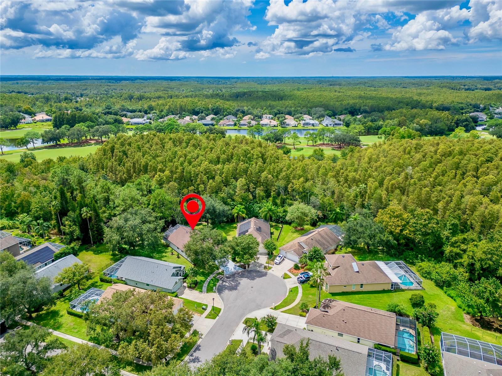 6106 Chalon, Lutz, FL 33558