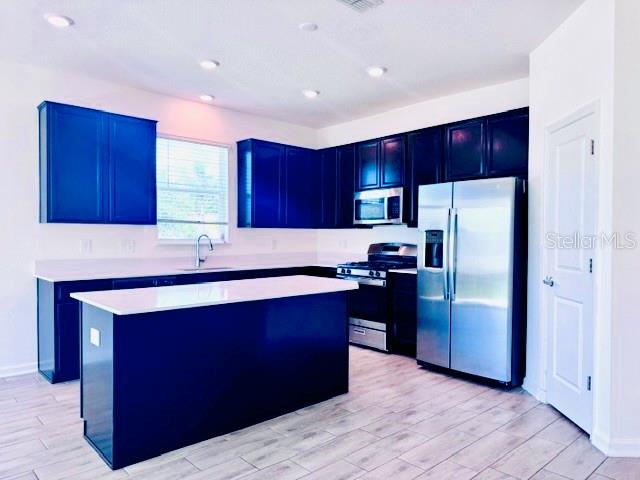33611 Sky Blossom, Leesburg, FL 34788