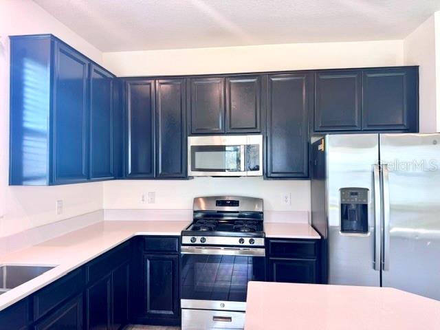 33611 Sky Blossom, Leesburg, FL 34788