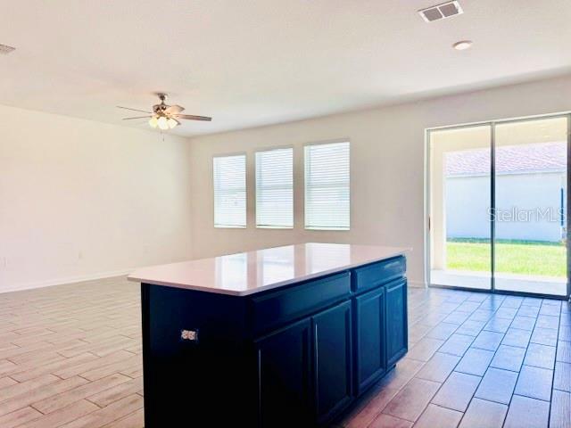 33611 Sky Blossom, Leesburg, FL 34788