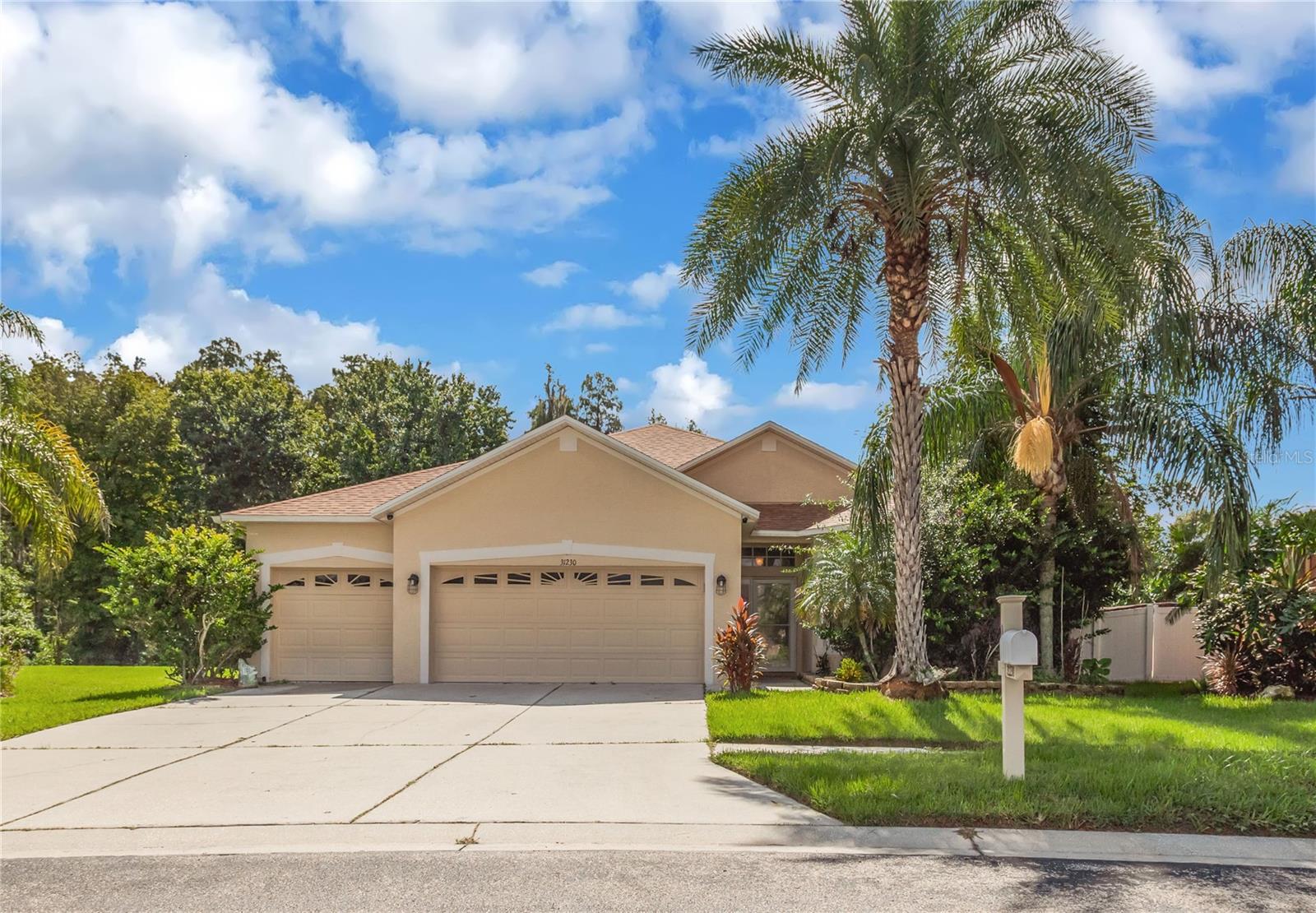 31230 Alchester, Wesley Chapel, FL 33543