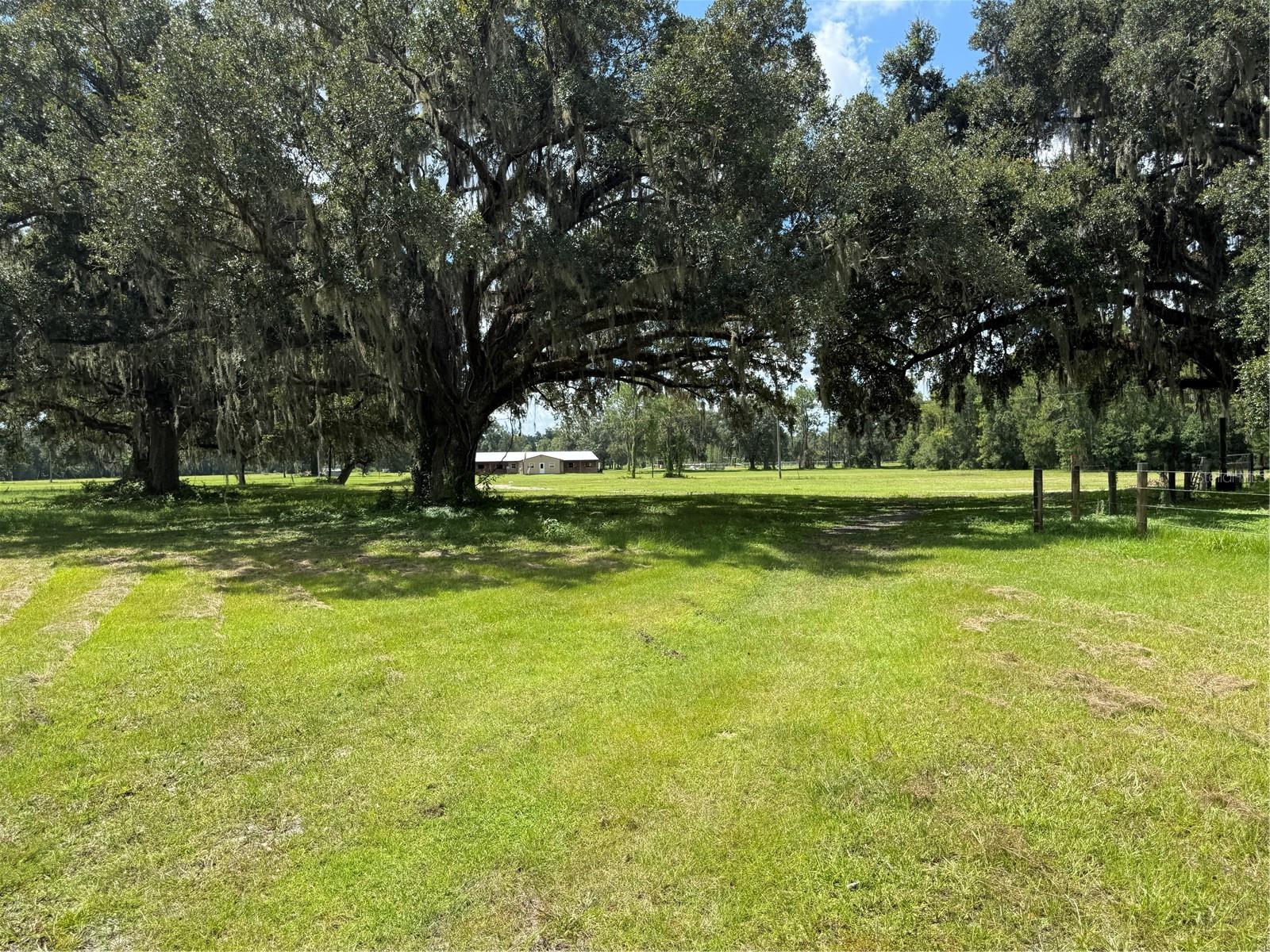 14875 Cr 751, Webster, FL 33597