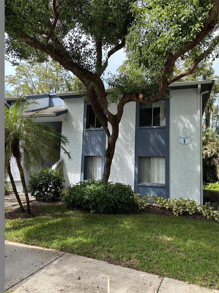 104 Cypress Unit 104, Oldsmar, FL 34677