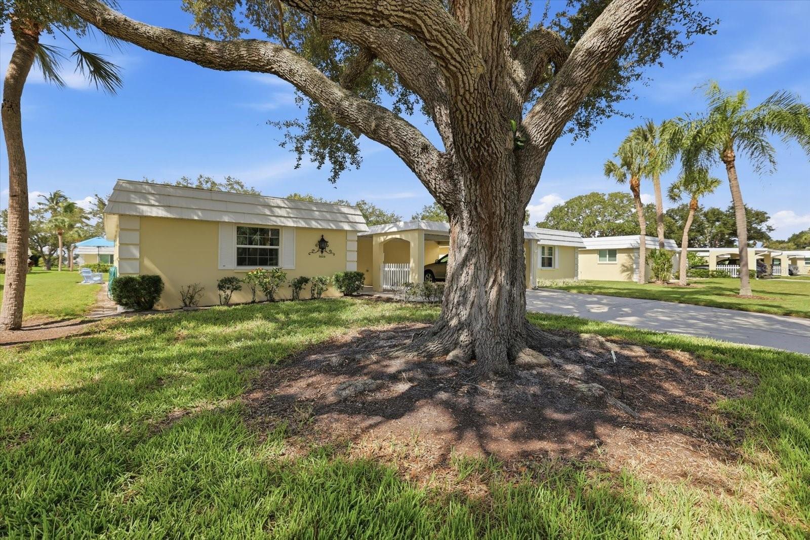 5826 Driftwood, Sarasota, FL 34231