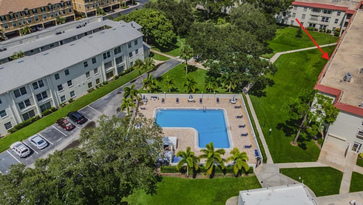 2700 Bayshore Unit 2204, Dunedin, FL 34698