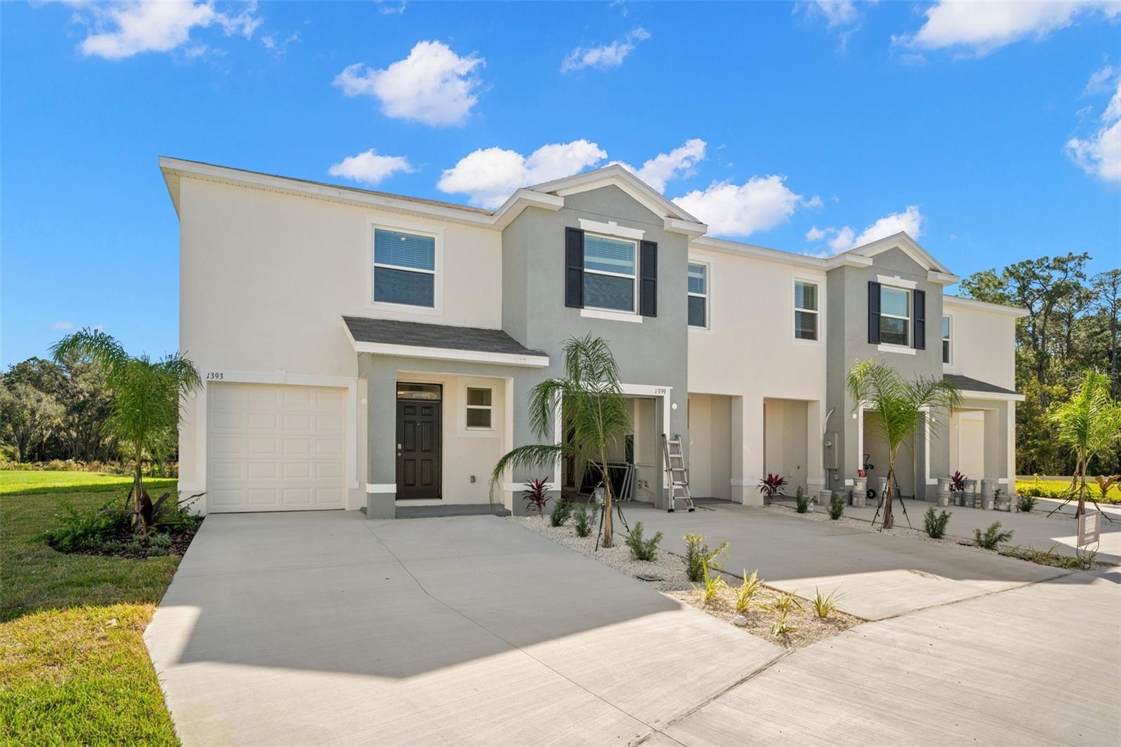 1393 Colt Creek, Wesley Chapel, FL 33543