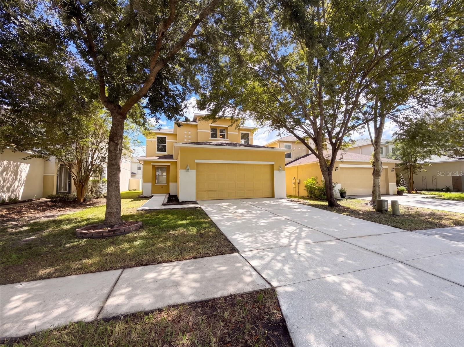 17534 Balmaha, Land O Lakes, FL 34638
