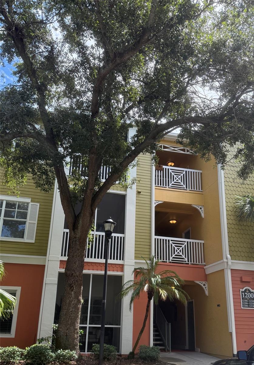 4207 Dale Mabry Unit 12308, Tampa, FL 33611