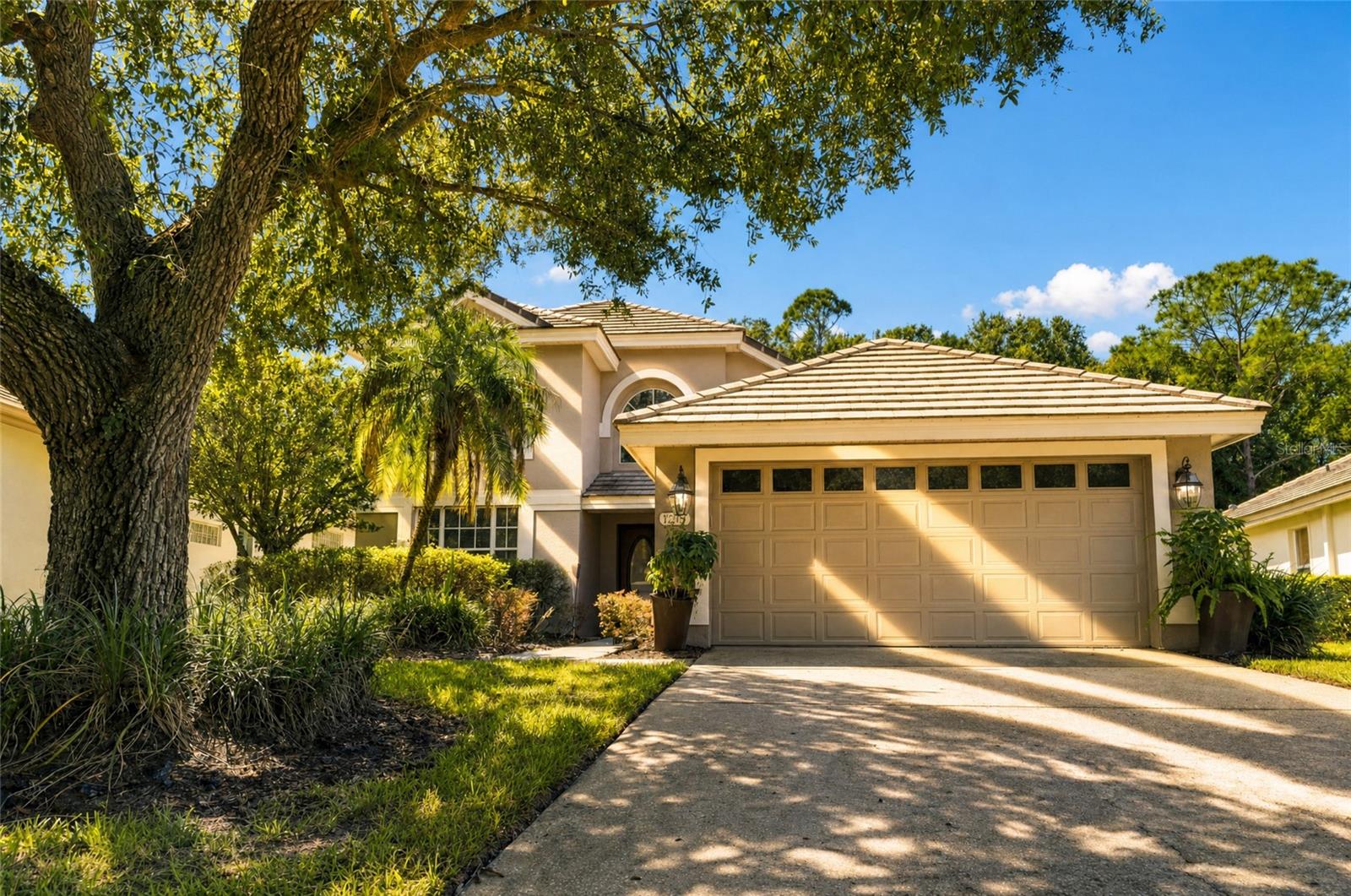 17704 Nathans, Tampa, FL 33647