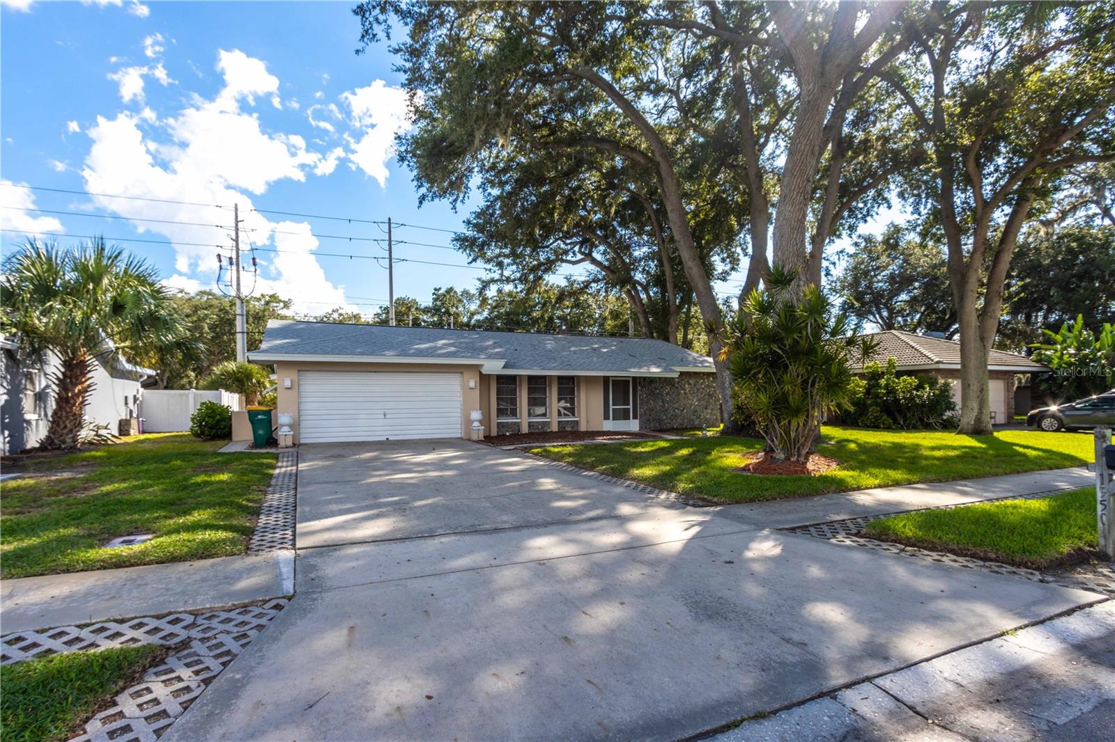1950 Sandpiper, Palm Harbor, FL 34683