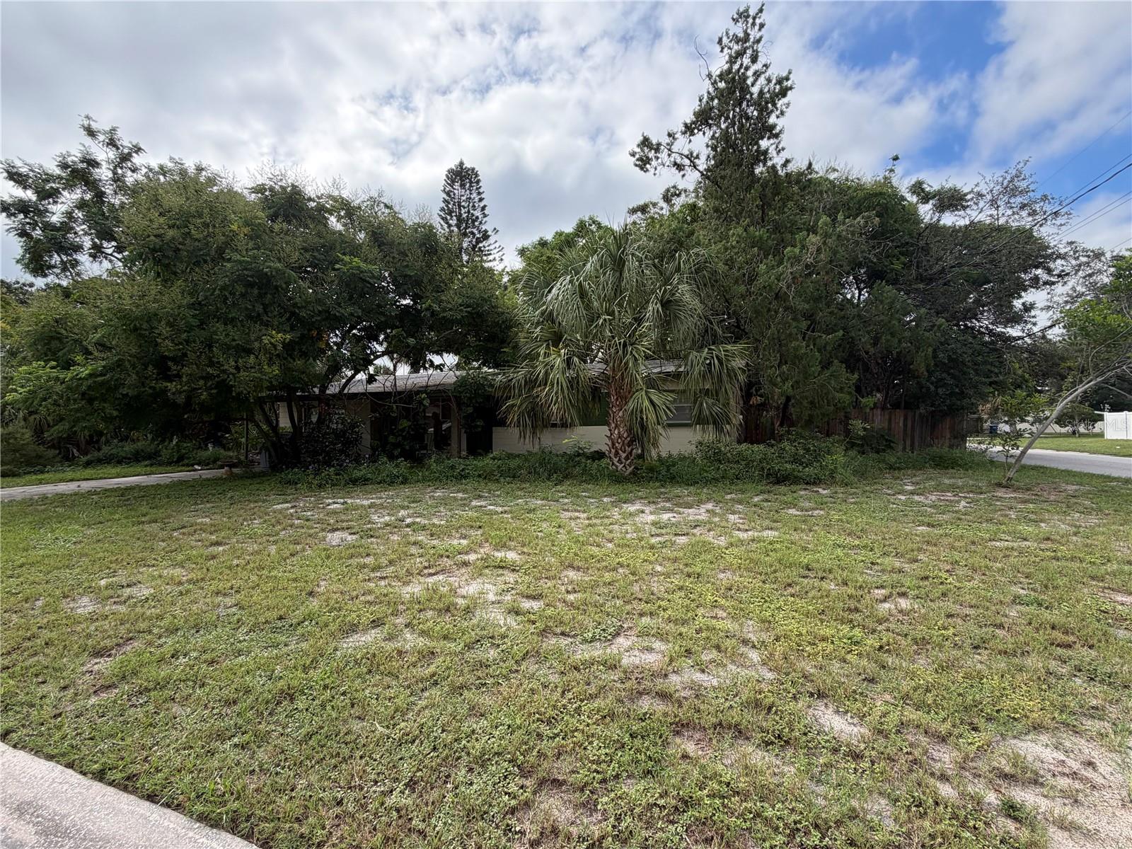 3216 Tyson, Tampa, FL 33611