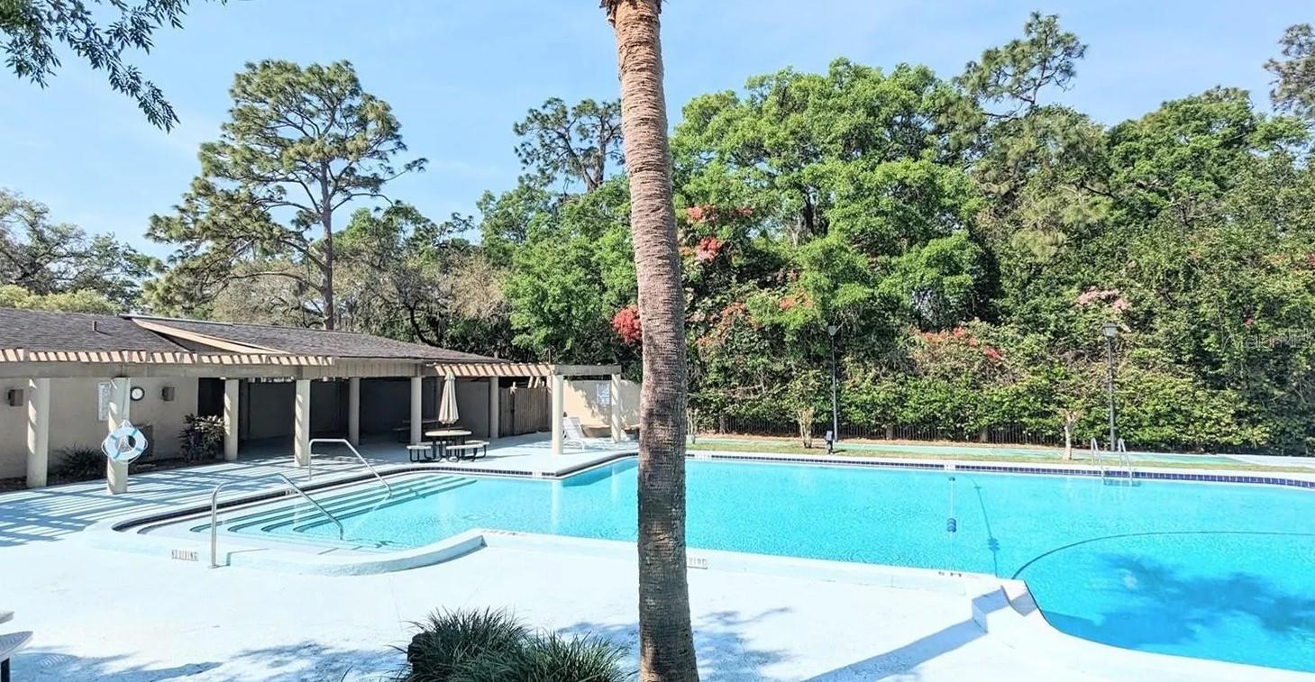 3111 Creekglen, Brandon, FL 33511